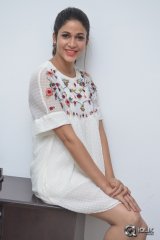 Lavanya Tripathi Interview About Mister